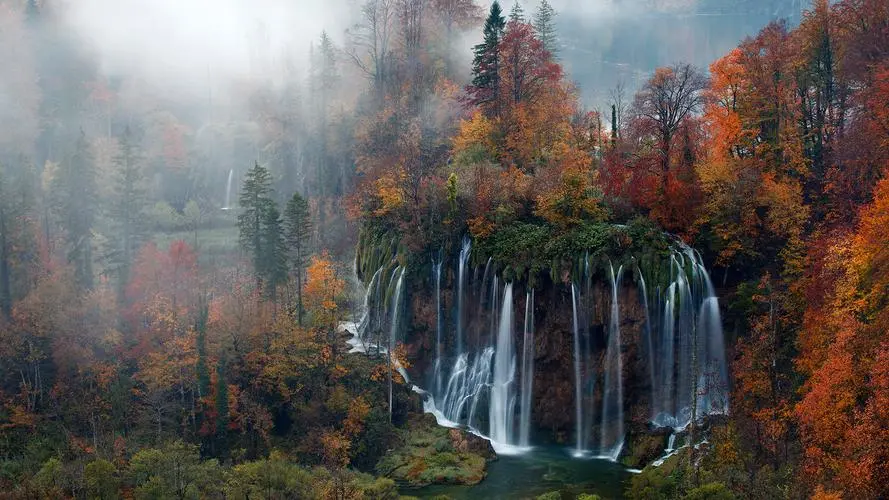 精密自动化